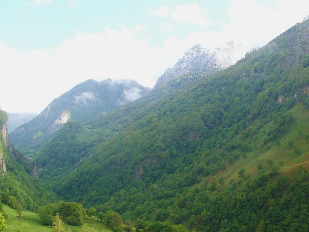 Chateau D'Arance Hotel Cette-Eygun ภายนอก รูปภาพ